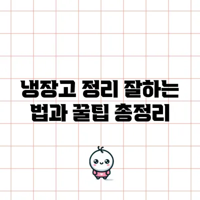 냉장고 정리 잘하는 법과 꿀팁 총정리