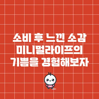 소비 후 느낀 소감: 미니멀라이프의 기쁨을 경험해보자