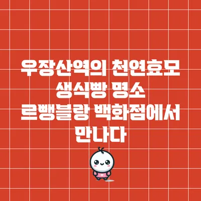 우장산역의 천연효모 생식빵 명소: 르뺑블랑 백화점에서 만나다