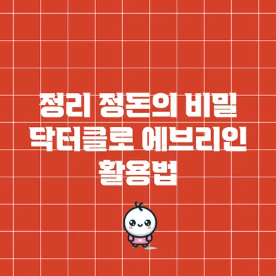 정리 정돈의 비밀: 닥터클로 에브리인 활용법