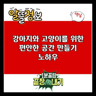 강아지와 고양이를 위한 편안한 공간 만들기 노하우