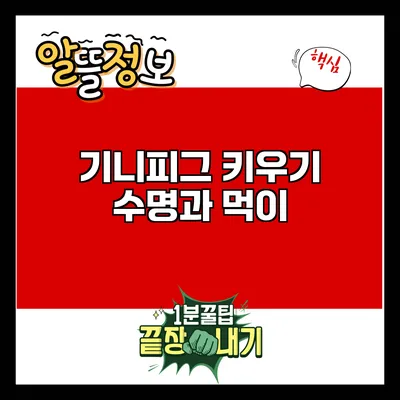 기니피그 키우기: 수명과 먹이