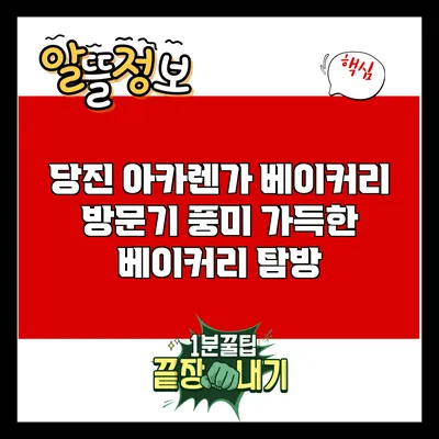 당진 아카렌가 베이커리 방문기: 풍미 가득한 베이커리 탐방