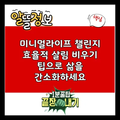 미니멀라이프 챌린지: 효율적 살림 비우기 팁으로 삶을 간소화하세요