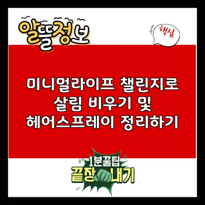 미니멀라이프 챌린지로 살림 비우기 및 헤어스프레이 정리하기