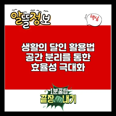 생활의 달인 활용법: 공간 분리를 통한 효율성 극대화