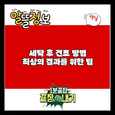 세탁 후 건조 방법: 최상의 결과를 위한 팁