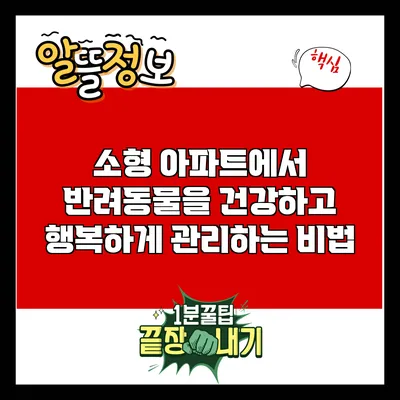 소형 아파트에서 반려동물을 건강하고 행복하게 관리하는 비법