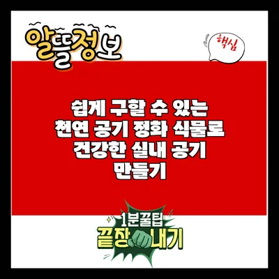 쉽게 구할 수 있는 천연 공기 정화 식물로 건강한 실내 공기 만들기