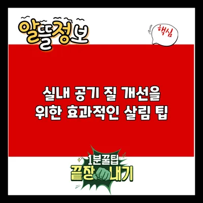 실내 공기 질 개선을 위한 효과적인 살림 팁