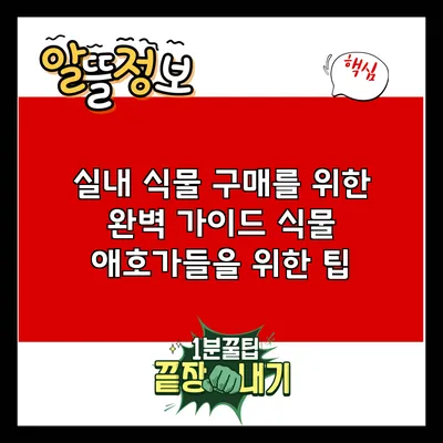 실내 식물 구매를 위한 완벽 가이드: 식물 애호가들을 위한 팁