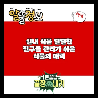 실내 식물 털털한 친구들: 관리가 쉬운 식물의 매력