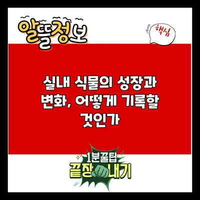 실내 식물의 성장과 변화, 어떻게 기록할 것인가?