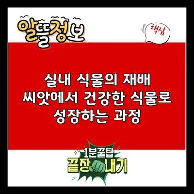 실내 식물의 재배: 씨앗에서 건강한 식물로 성장하는 과정