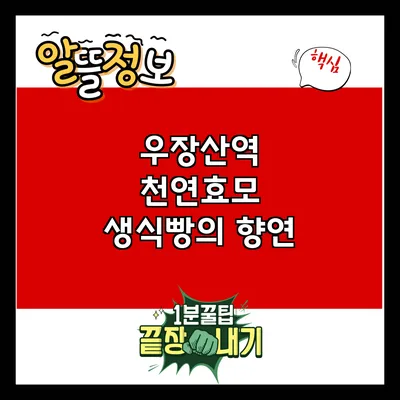 우장산역 천연효모 생식빵의 향연