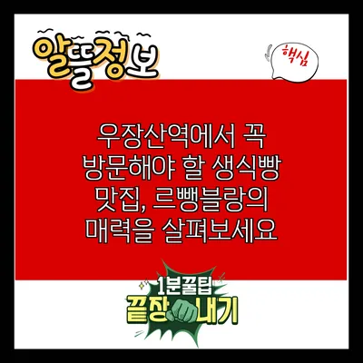 우장산역에서 꼭 방문해야 할 생식빵 맛집, 르뺑블랑의 매력을 살펴보세요