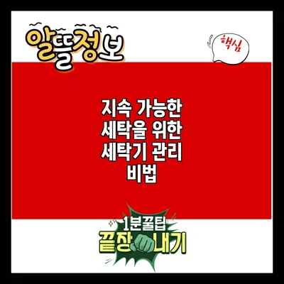 지속 가능한 세탁을 위한 세탁기 관리 비법