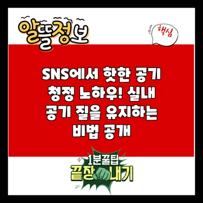 SNS에서 핫한 공기 청정 노하우! 실내 공기 질을 유지하는 비법 공개