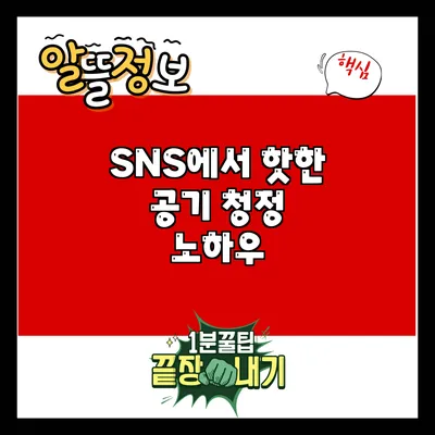 SNS에서 핫한 공기 청정 노하우