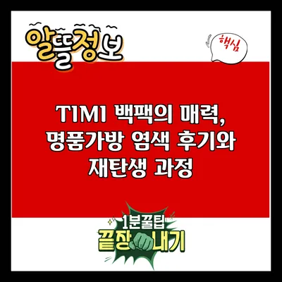 TIMI 백팩의 매력, 명품가방 염색 후기와 재탄생 과정