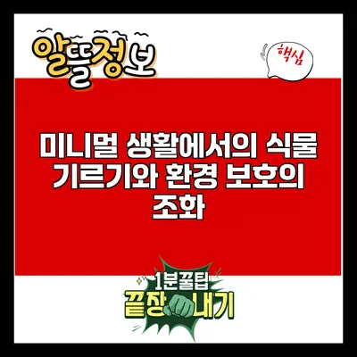 미니멀 생활에서의 식물 기르기와 환경 보호의 조화