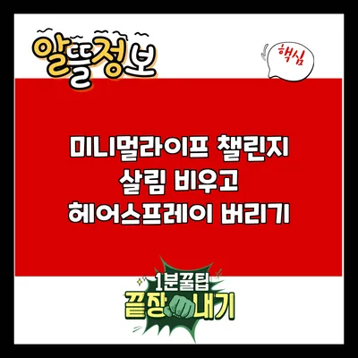 미니멀라이프 챌린지: 살림 비우고 헤어스프레이 버리기