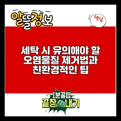 세탁 시 유의해야 할 오염물질 제거법과 친환경적인 팁