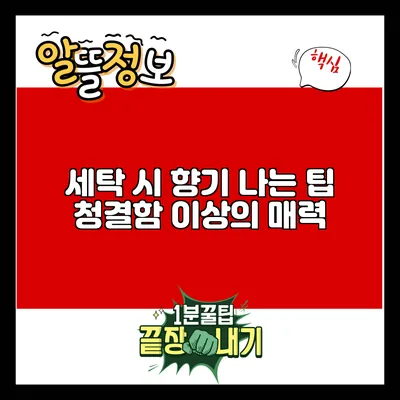 세탁 시 향기 나는 팁: 청결함 이상의 매력