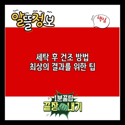 세탁 후 건조 방법: 최상의 결과를 위한 팁