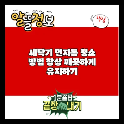 세탁기 먼지통 청소 방법: 항상 깨끗하게 유지하기