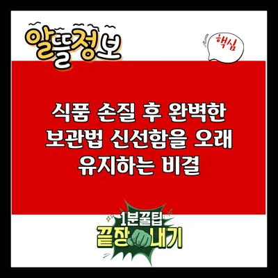 식품 손질 후 완벽한 보관법: 신선함을 오래 유지하는 비결