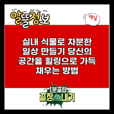 실내 식물로 차분한 일상 만들기: 당신의 공간을 힐링으로 가득 채우는 방법