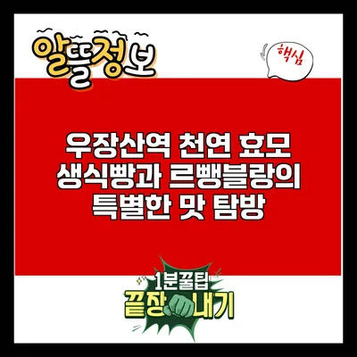 우장산역 천연 효모 생식빵과 르뺑블랑의 특별한 맛 탐방