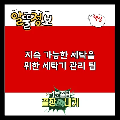 지속 가능한 세탁을 위한 세탁기 관리 팁