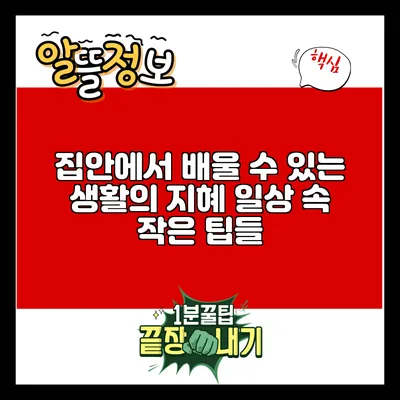 집안에서 배울 수 있는 생활의 지혜: 일상 속 작은 팁들