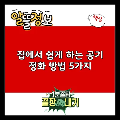 집에서 쉽게 하는 공기 정화 방법 5가지