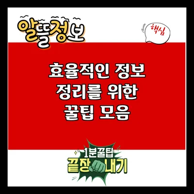 효율적인 정보 정리를 위한 꿀팁 모음